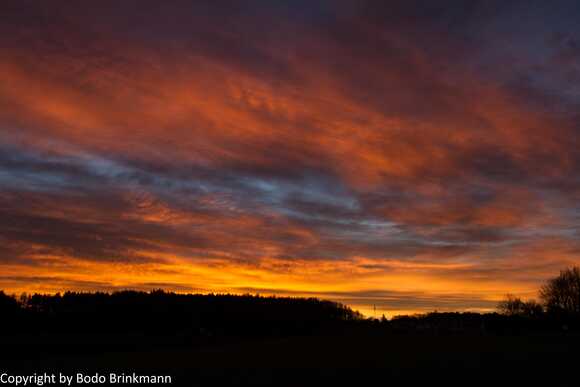 Sky-IMG_8922