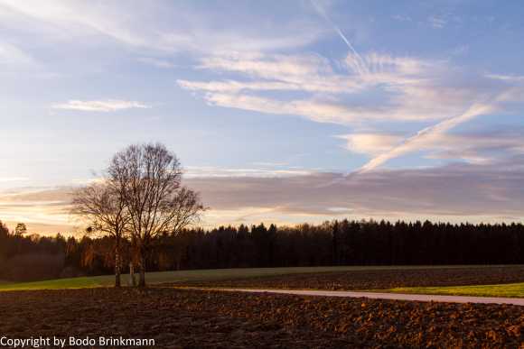 Sky-IMG_8882