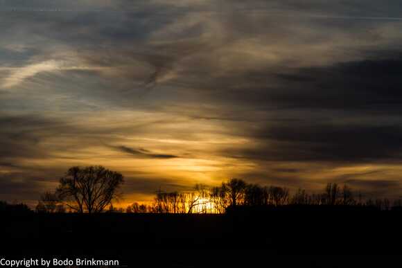 Sky-IMG_8933