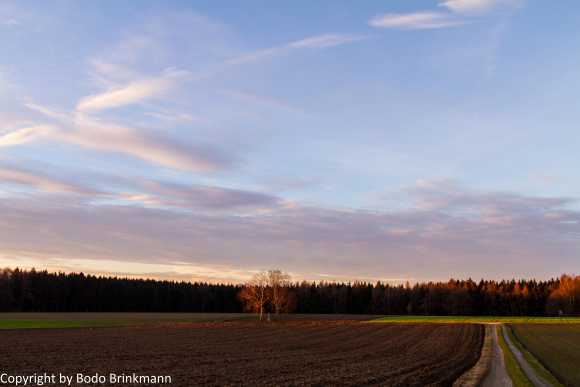 Sky-IMG_8883