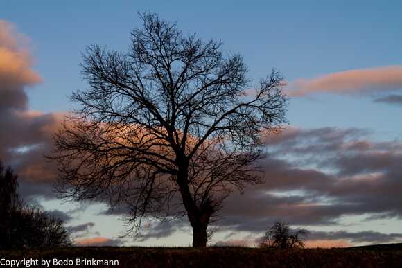 Sky-IMG_8920