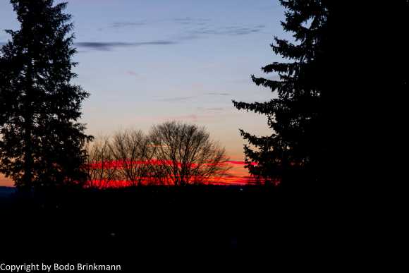 Sky-IMG_8901