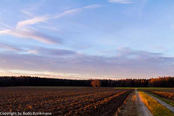 Sky-IMG_8884