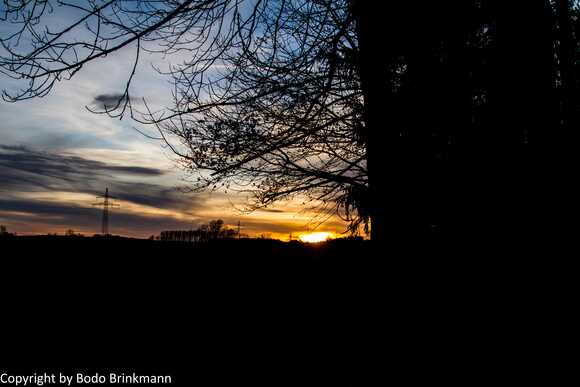Sky-IMG_8936