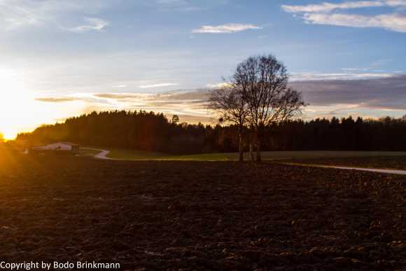 Sky-IMG_8880