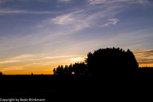 Sky-IMG_8890