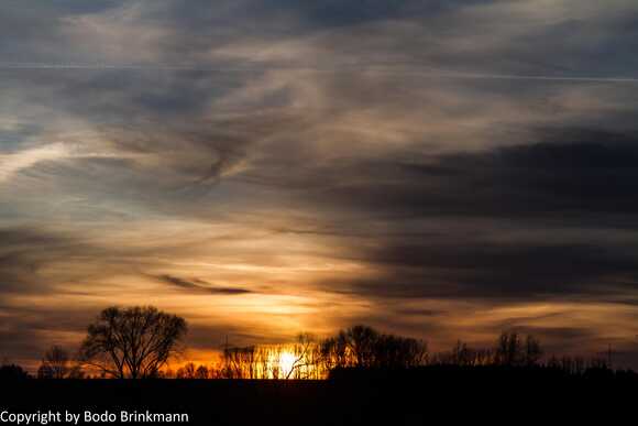 Sky-IMG_8932