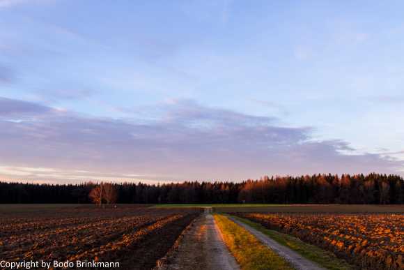 Sky-IMG_8885