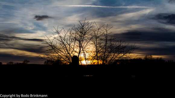 Sky-IMG_8928
