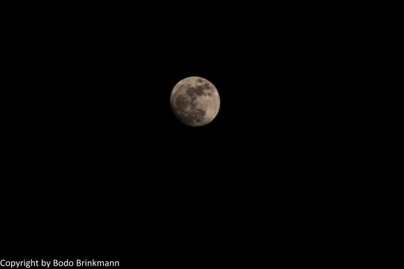 IMG_7957