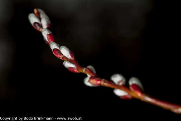 Sky-IMG_0056