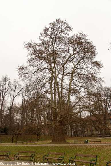 Sky-IMG_0030