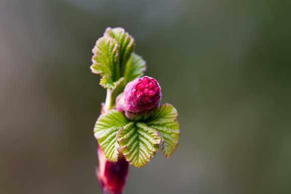 Sky-IMG_1103