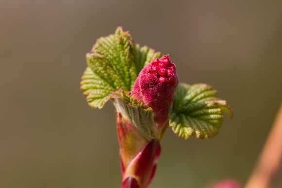 Sky-IMG_1108