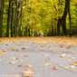 Sky-_MG_0553