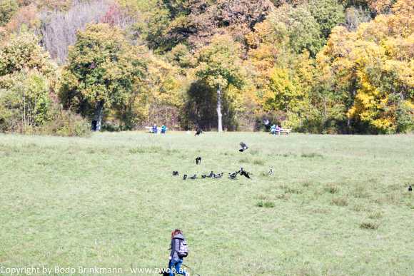 Sky-_MG_0405
