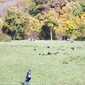 Sky-_MG_0406