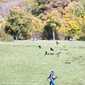 Sky-_MG_0404