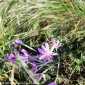Sky-_MG_0430