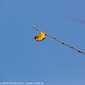 Sky-_MG_0543