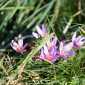 Sky-_MG_0429