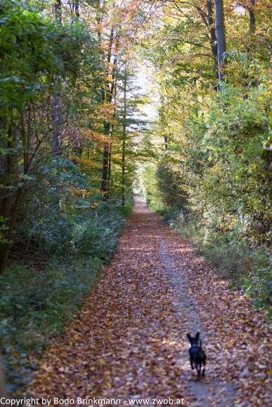 Sky-_MG_0493
