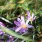 Sky-_MG_0431