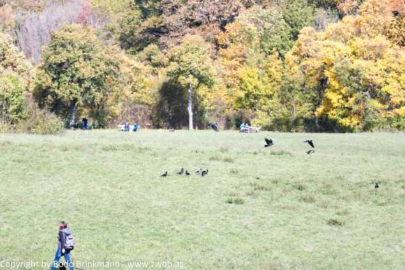 Sky-_MG_0409