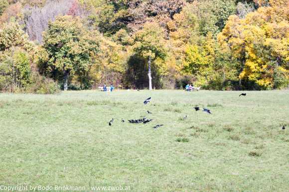 Sky-_MG_0402