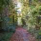 Sky-_MG_0492