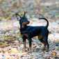 Sky-_MG_0435