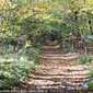 Sky-_MG_0487