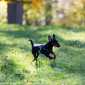 Sky-_MG_0456