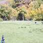 Sky-_MG_0409