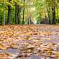 Sky-_MG_0554