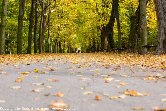 Sky-_MG_0553