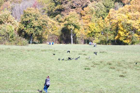 Sky-_MG_0406