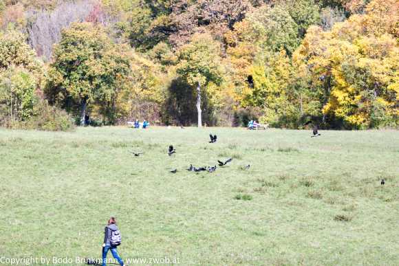 Sky-_MG_0407