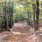 Sky-_MG_0535