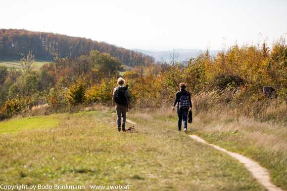 Sky-_MG_0503