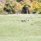 Sky-_MG_0401