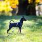 Sky-_MG_0455