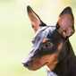 Sky-_MG_0464