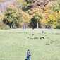 Sky-_MG_0405