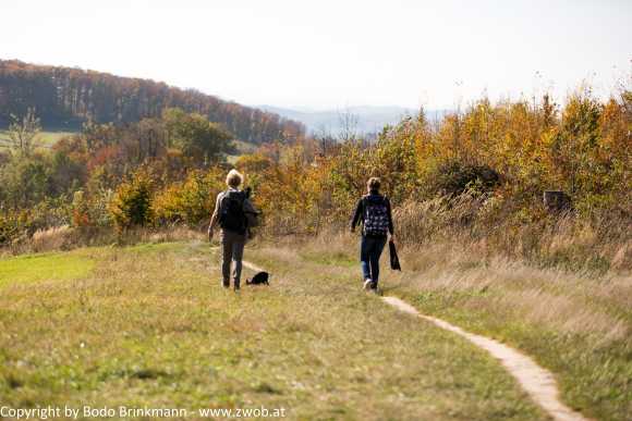 Sky-_MG_0502