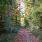 Sky-_MG_0493