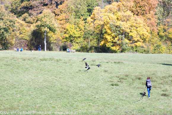 Sky-_MG_0410