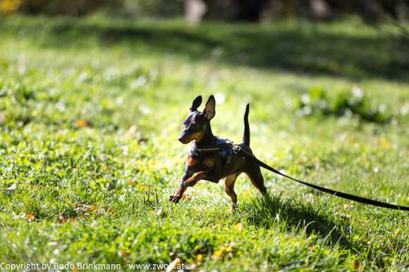 Sky-_MG_0473