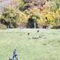 Sky-_MG_0407