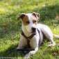Sky-_MG_0483